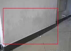 墻面返潮怎么辦？
