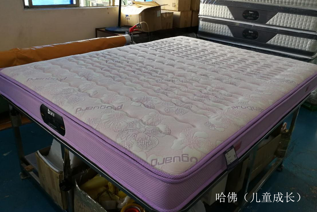 百寧品牌床墊哈佛兒童成長